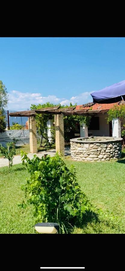 Village Dimopoulos Rodhodháfni Exterior foto